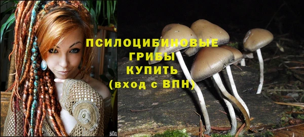 ALPHA PVP Нефтегорск