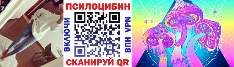дарк нет как зайти  Обь  Галлюциногенные грибы Magic Shrooms 