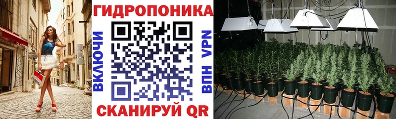hydra вход Обь Канабис Bruce Banner