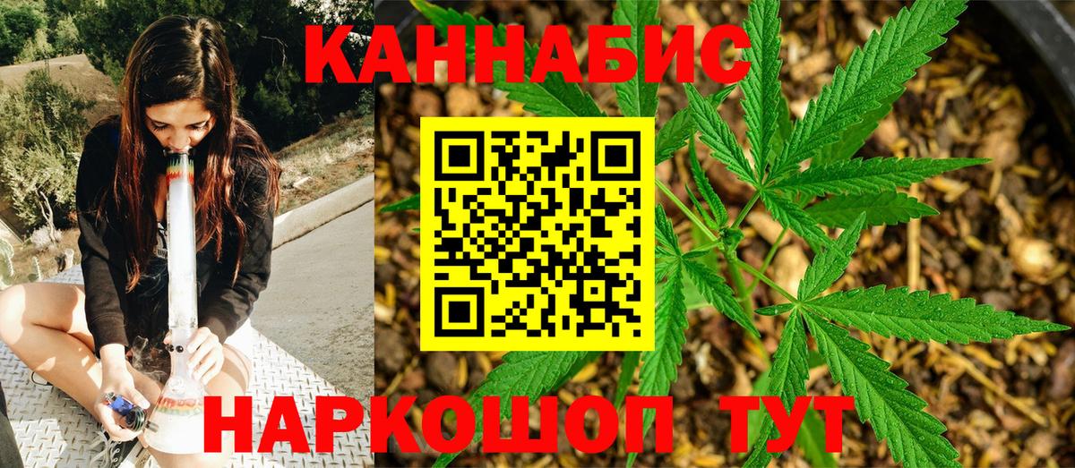 Каннабис OG Kush Обь